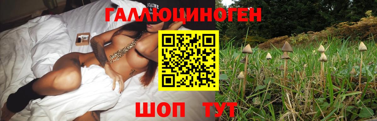 Галлюциногенные грибы Cubensis  Вход с VPN  Вязьма 